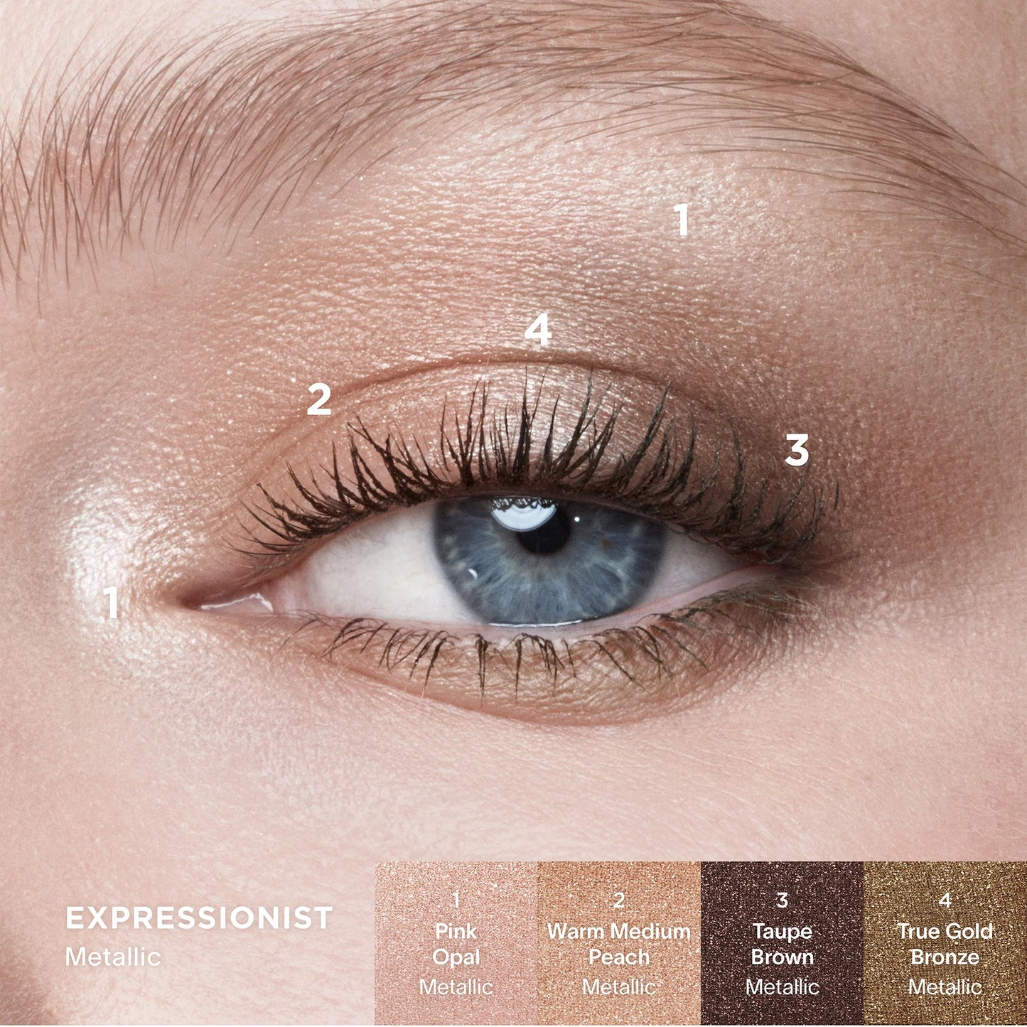 Палетки тіней Curator Eyeshadow Palette