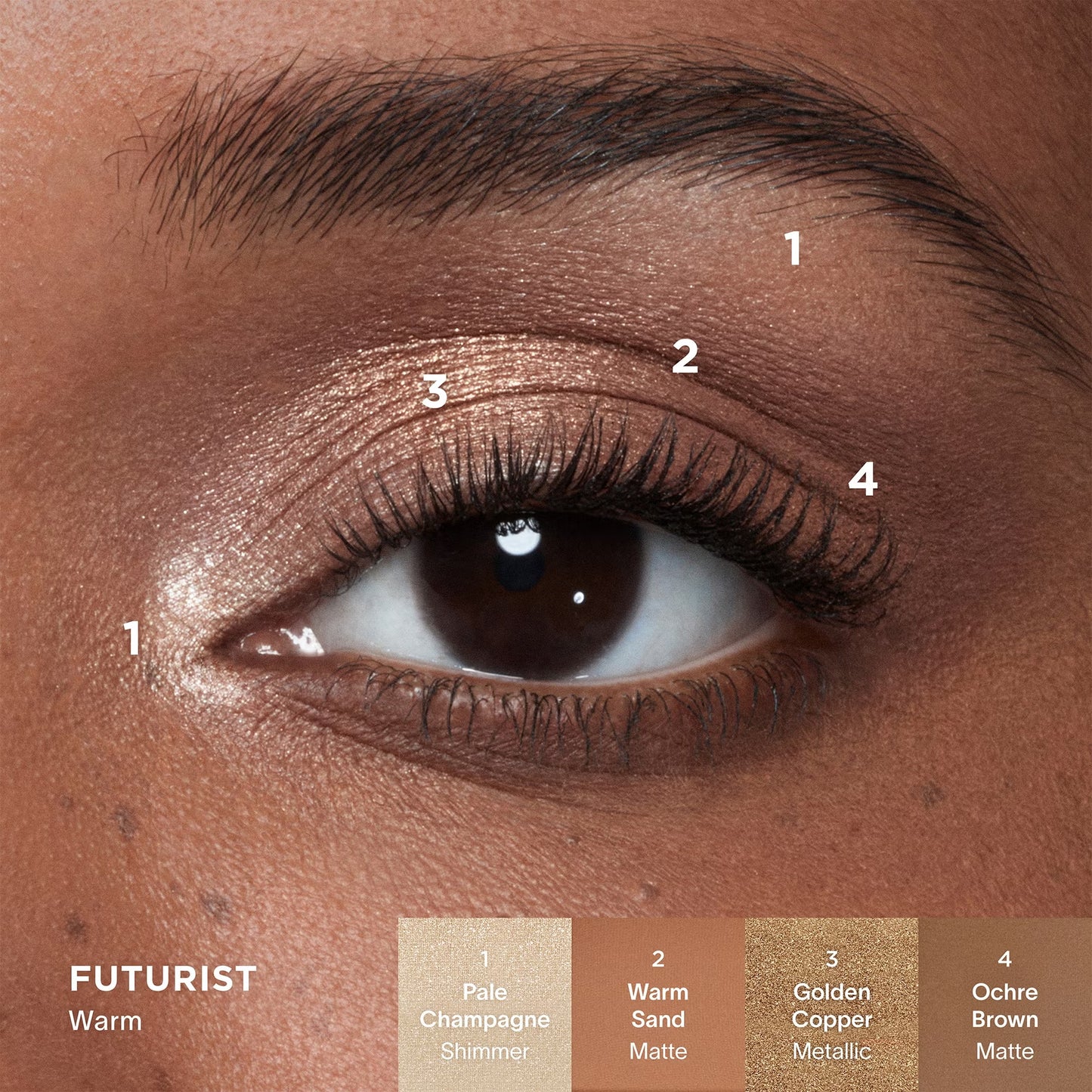 Палетки тіней Curator Eyeshadow Palette