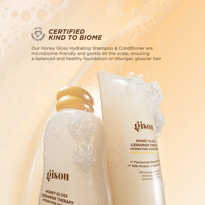 Набір шампунь & кондиціонер Honey Gloss Hair Wash Duo