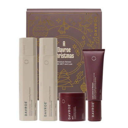 Різдвяний набір для волосся Christmas Moisture Senses Quad DAVROE